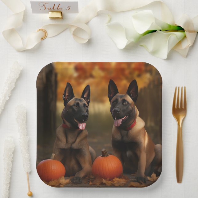 Belgian Malinoi Puppy Autumn Delight Pumpkin  Paper Plate (Wedding)