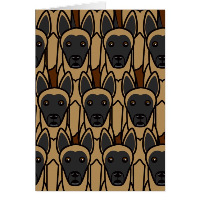 Belgian Malinois (Front)