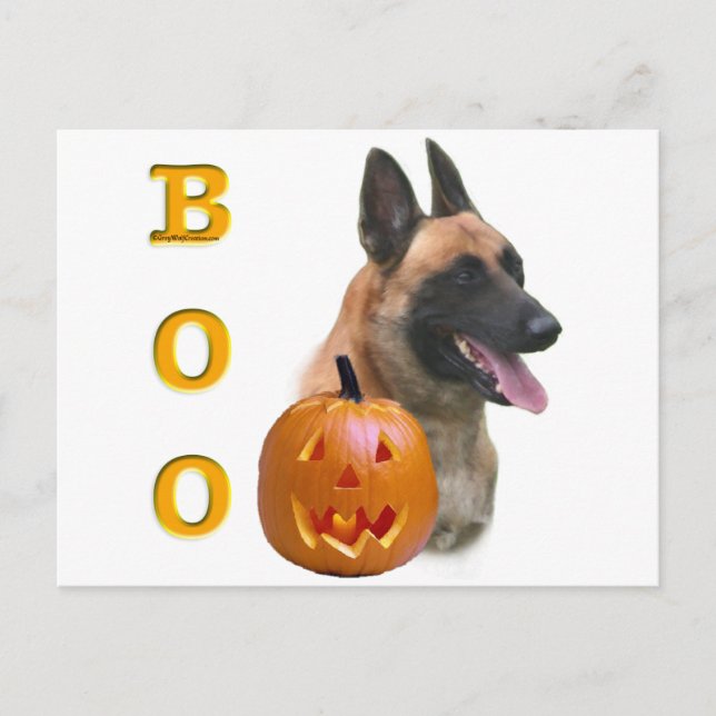 Belgian Malinois Boo Postcard (Front)