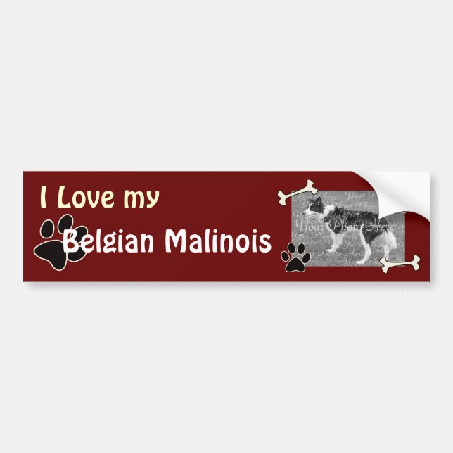 Belgian Malinois Bumper Sticker (Front)