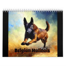 Belgian Malinois 