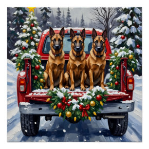 Belgian Malinois Christmas Red Truck Holiday Poster