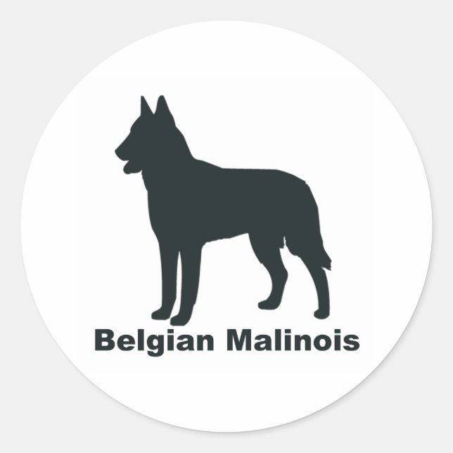 Belgian Malinois Classic Round Sticker (Front)