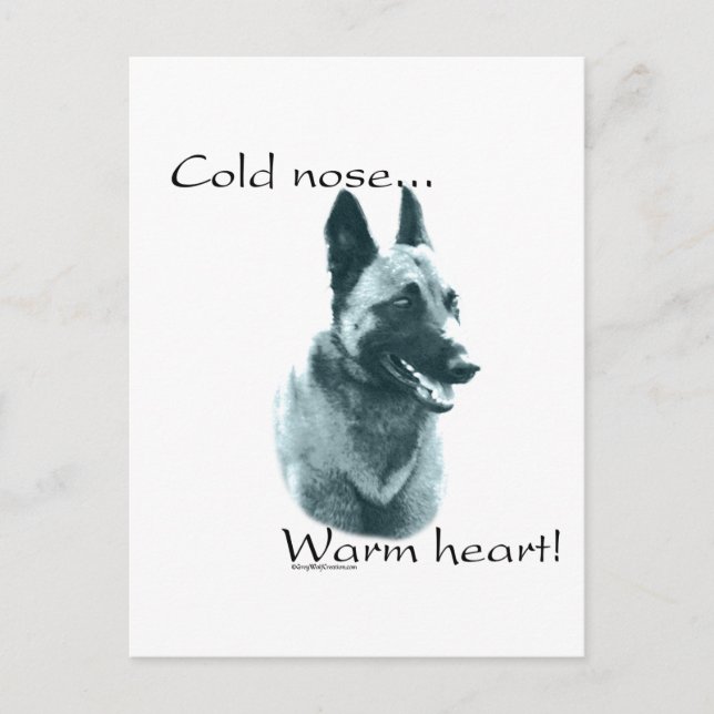 Belgian Malinois Cold Nose Warm Heart Postcard (Front)