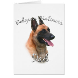 Belgian Malinois Dad 2