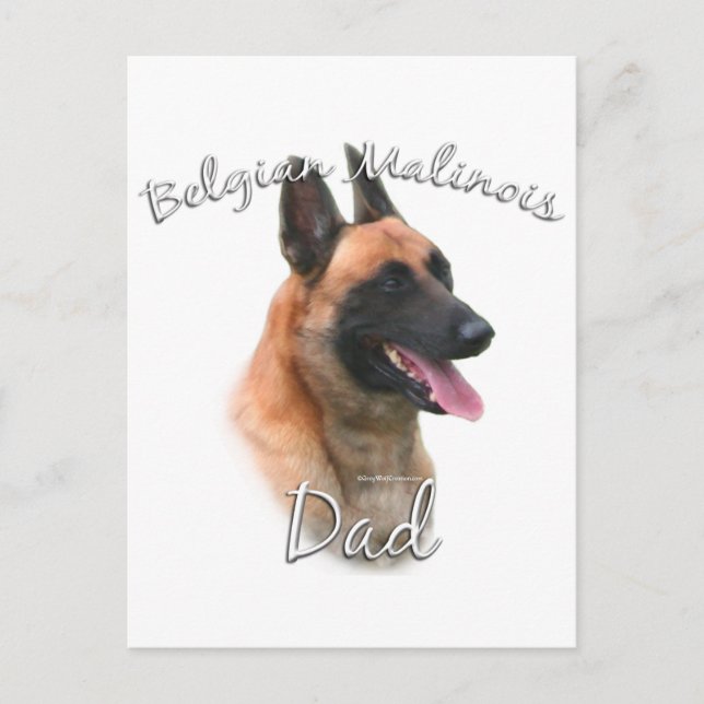 Belgian Malinois Dad 2 Postcard (Front)