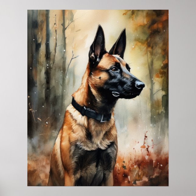 Belgian Malinois Dog Art Print Poster (Front)
