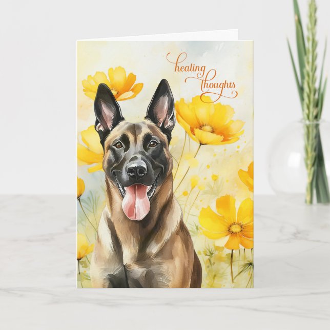 Belgian Malinois Dog Golden Poppies Get Well Card (Front)