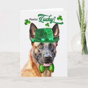 Belgian Malinois Dog Lucky St Patrick's Day Holiday Card
