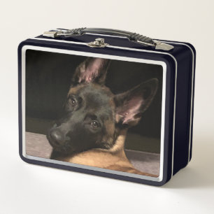 Belgian Malinois Dog Metal Lunch Box