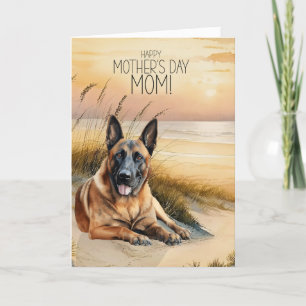 Belgian Malinois Dog Sunset Beach Mother's Day Holiday Card