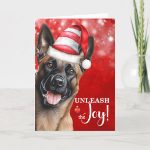 Belgian Malinois Dog Unleash the Joy Christmas Holiday Card