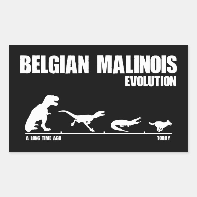 Belgian Malinois Evolution Rectangular Sticker (Front)