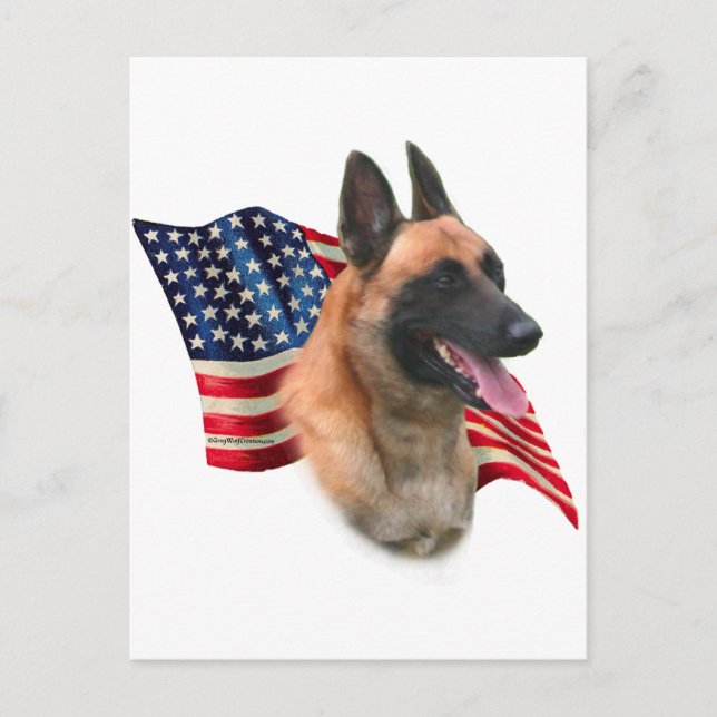 Belgian Malinois Flag Postcard (Front)