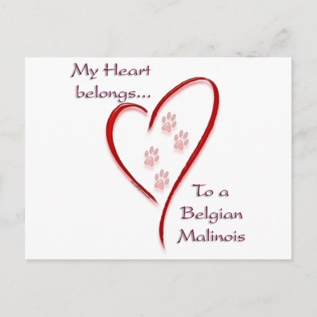 Belgian Malinois Heart Belongs Postcard (Front)