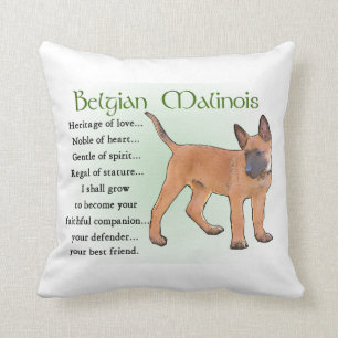 Belgian Malinois Heritage of Love Cushion