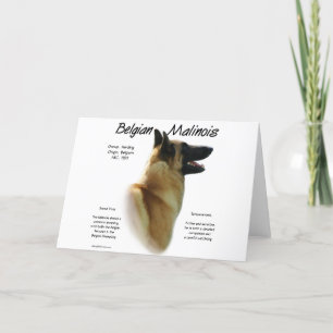 Belgian Malinois History Design Holiday Card