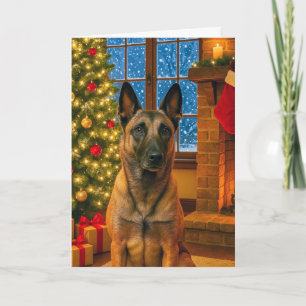 Belgian Malinois Holiday Card