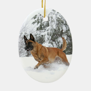Belgian Malinois in Snow ornament 2