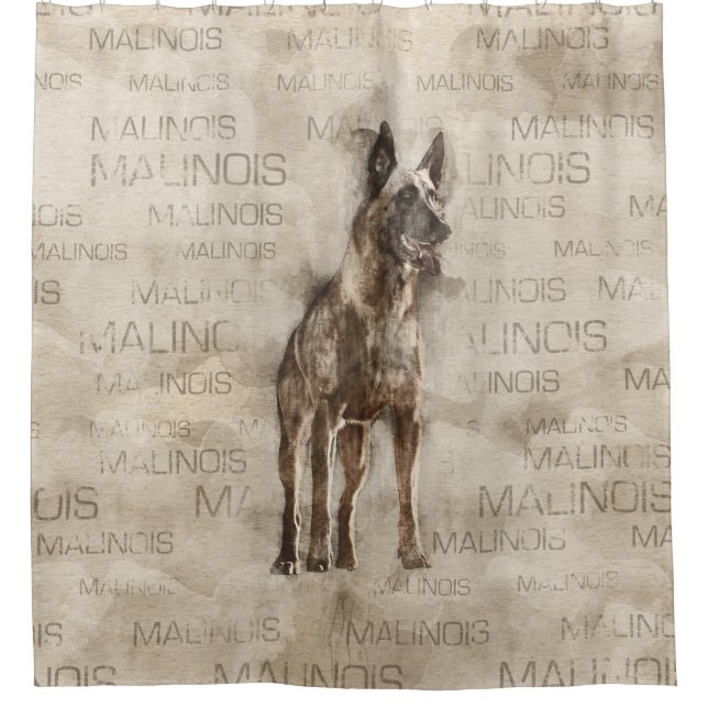 Belgian Malinois - Mechelaar  - Maligator Shower Curtain (Front)