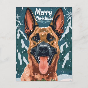 Belgian Malinois Merry Christmas Postcard