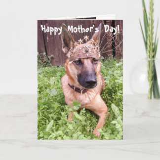 Belgian Malinois Mother's Day Card