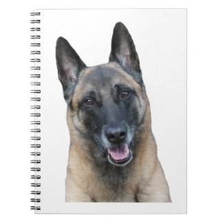 Belgian Malinois Notebook