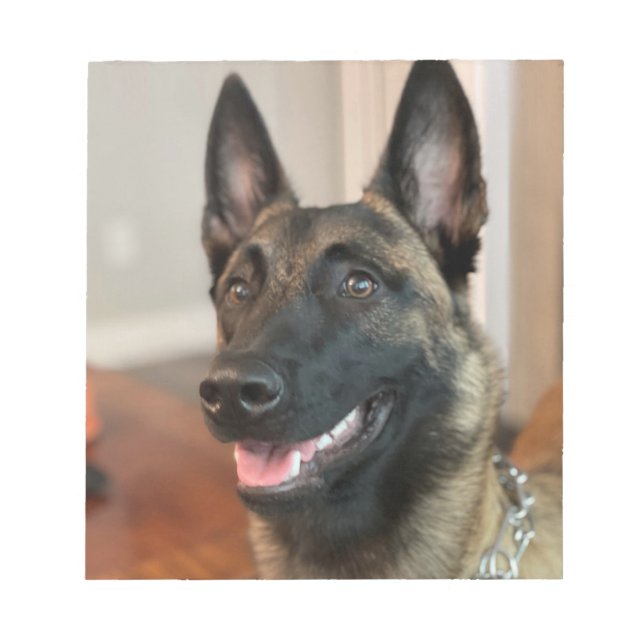 Belgian Malinois Notepad (Front)