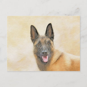 Belgian Malinois Painting - Cute Original Dog Art Postcard