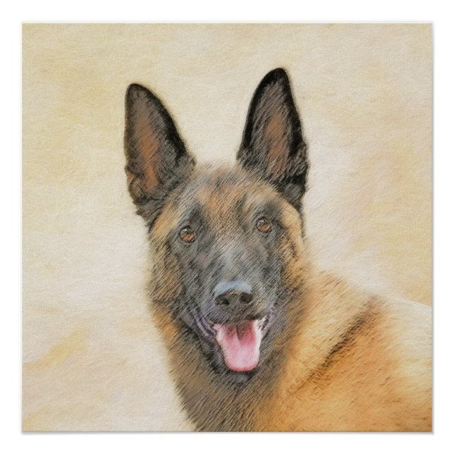 Belgian Malinois Painting - Cute Original Dog Art Poster (Front)