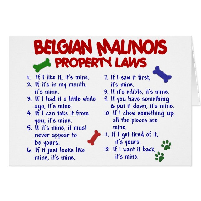 BELGIAN MALINOIS PL2 (Front Horizontal)