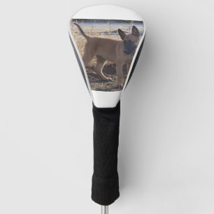 Belgian_Malinois_Puppy full Golf Head Cover