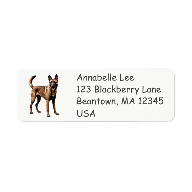 Belgian Malinois Return Address Label (Front)