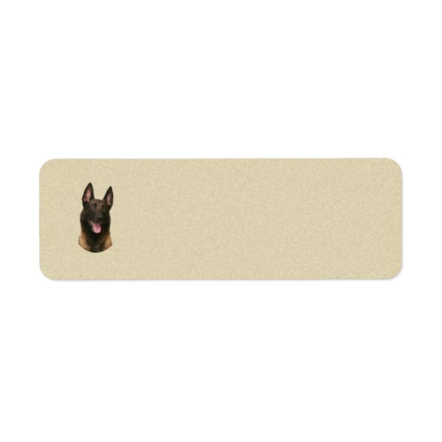 belgian malinois return address label (Front)