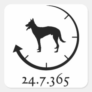 Belgian Malinois Square Sticker