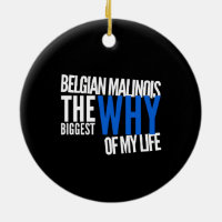 Belgian Malinois The Biggest Why of My Life