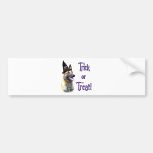 Belgian Malinois Trick Bumper Sticker