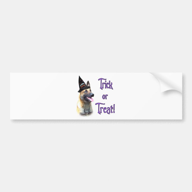 Belgian Malinois Trick Bumper Sticker (Front)