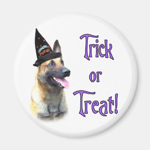 Belgian Malinois Trick Magnet