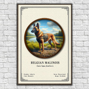 Belgian Malinois Zoology Series Poster