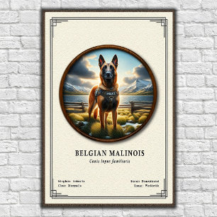 Belgian Malinois Zoology Series Poster