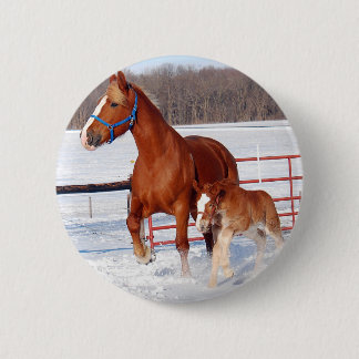 Belgian Mare and Filly 6 Cm Round Badge