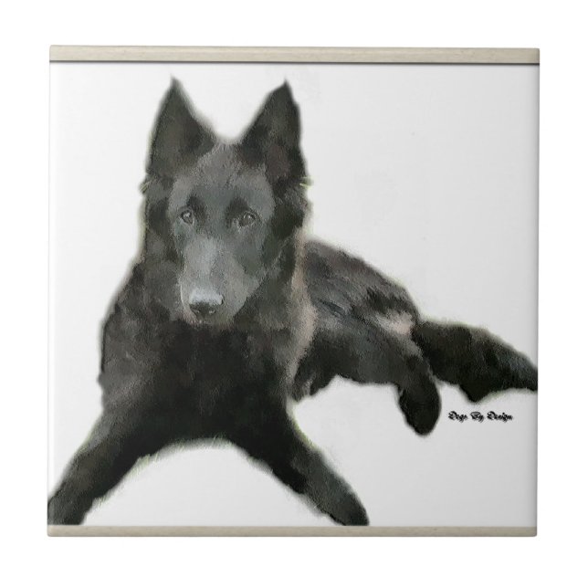 Belgian Sheepdog Art Ceramic Tile (Front)