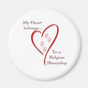 Belgian Sheepdog Heart Belongs Magnet