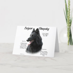 Belgian Sheepdog History; All About Sheepdogs Holiday Card