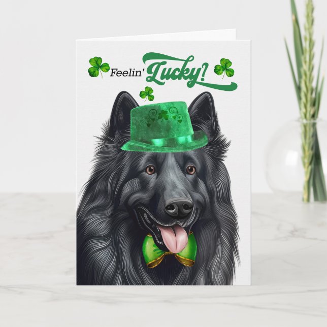 Belgian Sheepdog Lucky St Patrick's Day Holiday Card (Front)