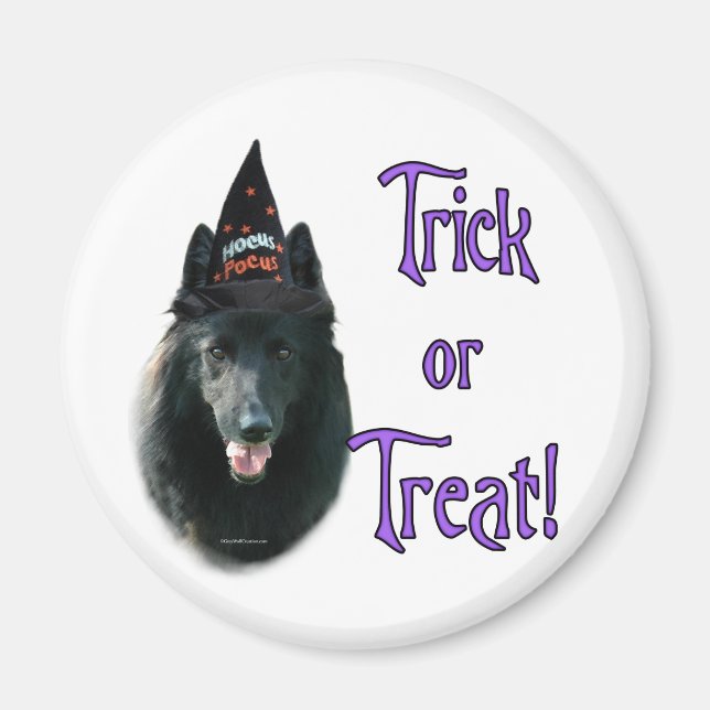 Belgian Sheepdog Trick Magnet (Front)