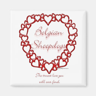 Belgian Sheepdog True Love Magnet