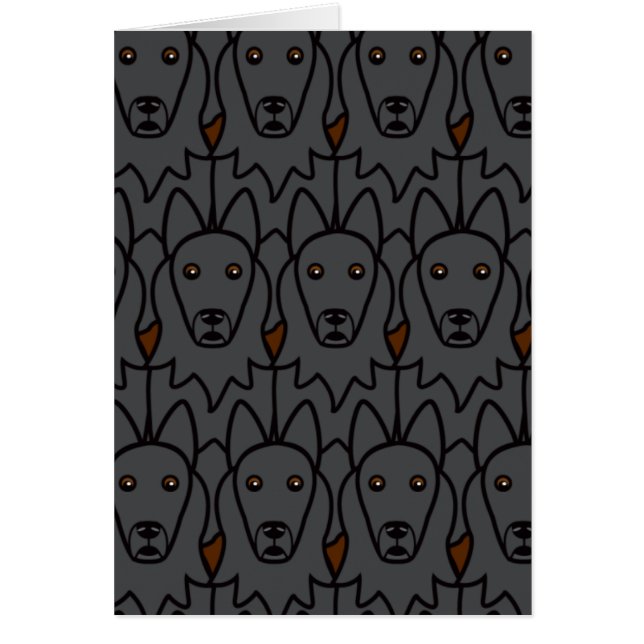 Belgian Sheepdogs (Front)