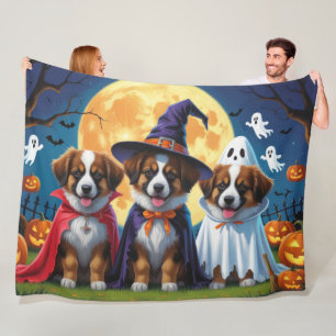 Belgian Shepherd Dogs Pumpkin Halloween Funny Fleece Blanket